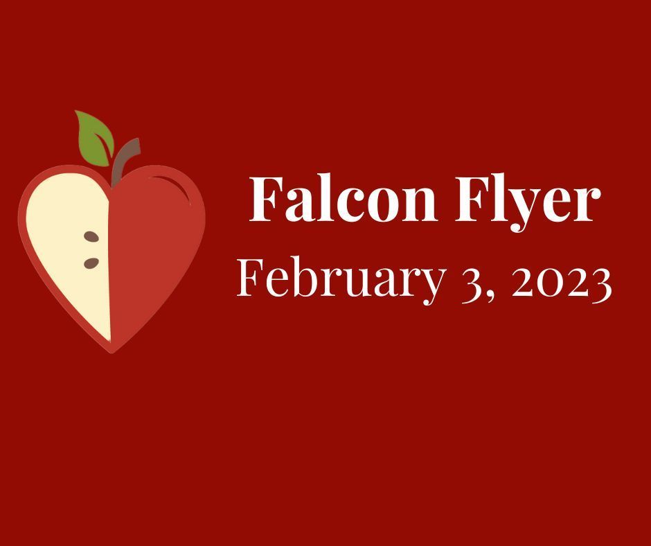 FALCON FLYER - FEBRUARY 3, 2032